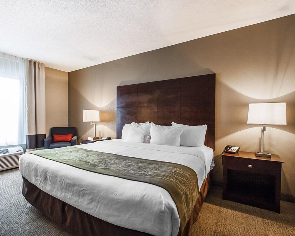 Comfort Inn Us Hwy 80 Demopolis Dış mekan fotoğraf