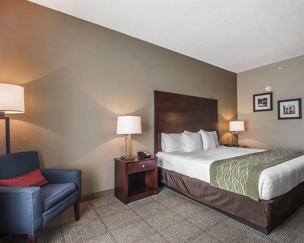 Comfort Inn Us Hwy 80 Demopolis Dış mekan fotoğraf