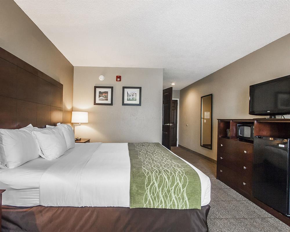 Comfort Inn Us Hwy 80 Demopolis Dış mekan fotoğraf